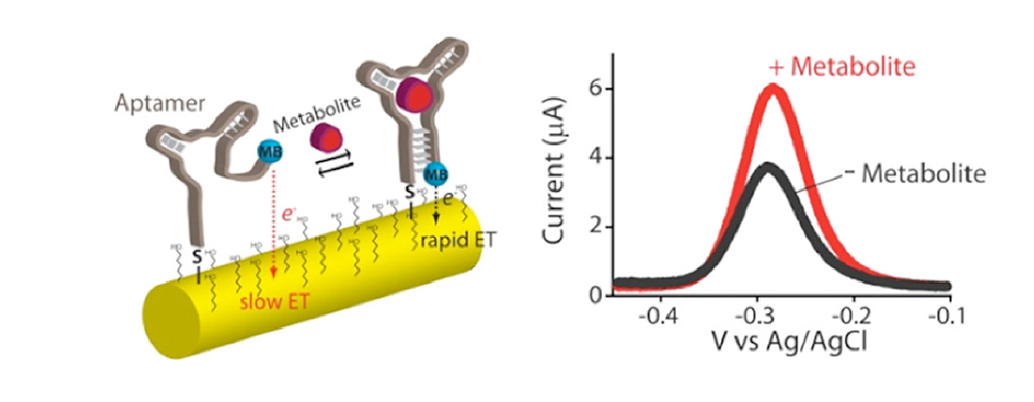 An electrochemical aptamer-based sensor